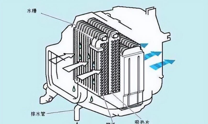 重庆职业队中的神秘之师——朝鲜乒乓球运动员