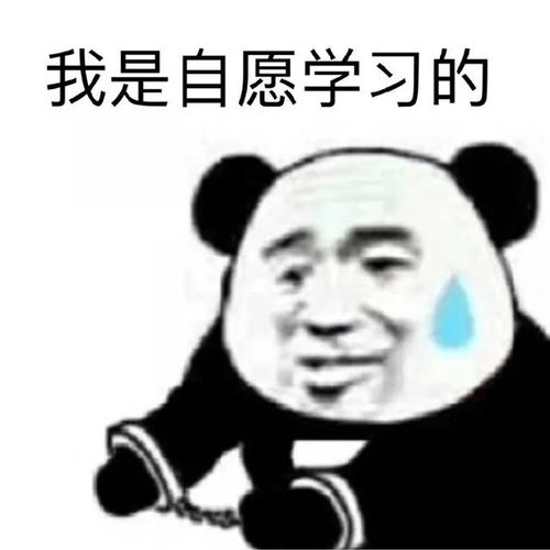 考研联系导师应该怎么说