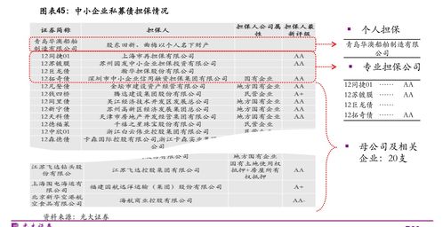 申万宏源公布申证完成兑付兑息并摘牌