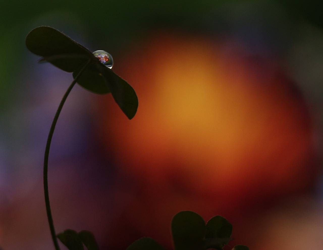 北京傍晚雨后云端现双彩虹